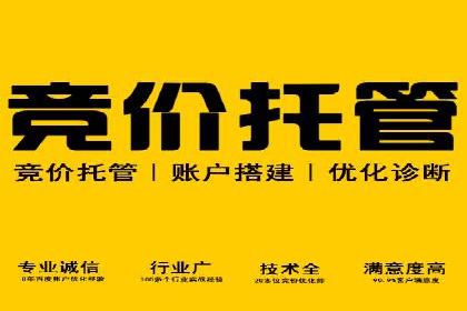 解析SEM竞价代运营公司的技术实力与服务优势